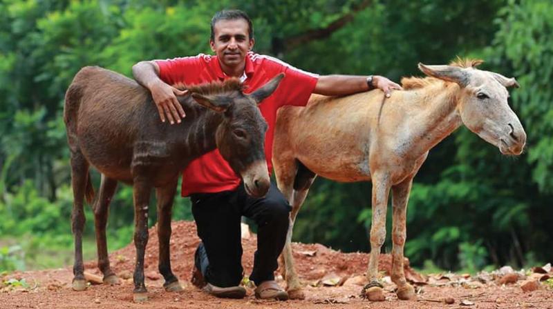 He is on a mission to bring back the lost glory of donkey’s milk and is getting closer to it. He is on a mission to bring back the lost glory of donkey’s milk and is getting closer to it.