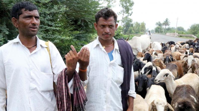 Farmers going to work after casting their votes at Gokak in Belagavi district on Saturday. (Photo: KPN) Farmers going to work after casting their votes at Gokak in Belagavi district on Saturday. (Photo: KPN)