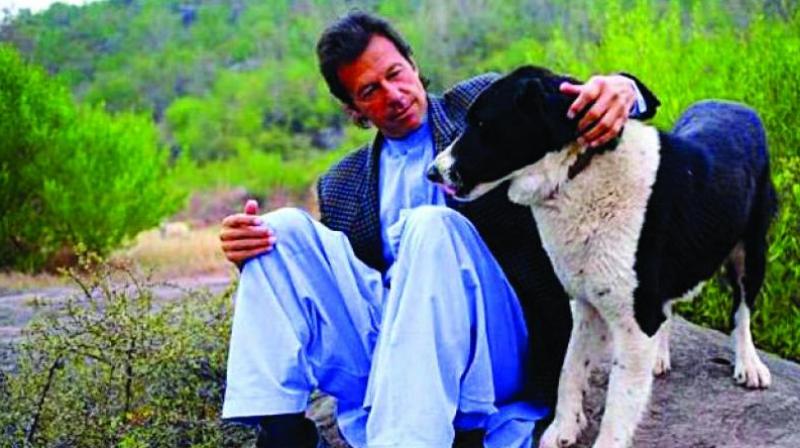 Over the years, Imran Khan’s pet dogs have attracted press attention on multiple occasions. (Photo: File) Over the years, Imran Khan’s pet dogs have attracted press attention on multiple occasions. (Photo: File)