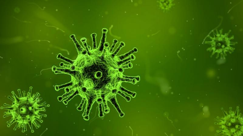 Tumours develop where these gut bacteria thrive, new study finds. (Photo: Pixabay) Tumours develop where these gut bacteria thrive, new study finds. (Photo: Pixabay)