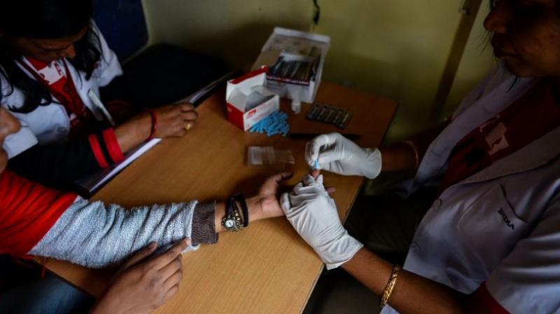 The diagnostic tool uses genetically engineered bacteria (Photo: AFP) The diagnostic tool uses genetically engineered bacteria (Photo: AFP)