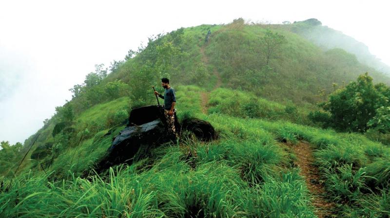 For many, Josegiri is a lesser known trekking spot. For many, Josegiri is a lesser known trekking spot.