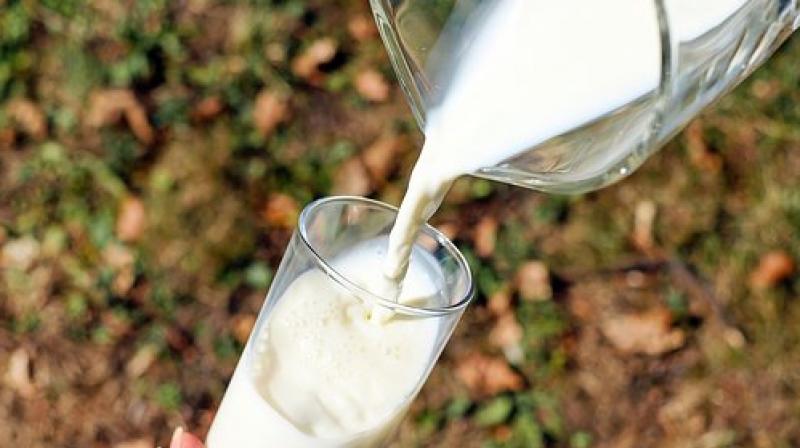 Fortification of dairy products with phytosterols and omega-3 fatty acids appears to constitute a suitable strategy for improving cardiometabolic risk biomarkers. (Photo: Representational/Pixabay) Fortification of dairy products with phytosterols and omega-3 fatty acids appears to constitute a suitable strategy for improving cardiometabolic risk biomarkers. (Photo: Representational/Pixabay)