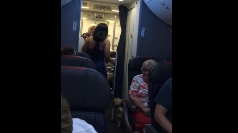 American Airlines said the plane arrived in Chicago four hours late. (Photo: Facebook/ Michael Nash) American Airlines said the plane arrived in Chicago four hours late. (Photo: Facebook/ Michael Nash)