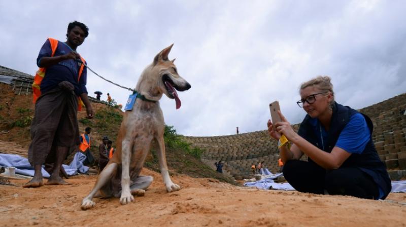 Now Foxtrot has his own Instagram account -- called "humanitarian_pup" -- with regular updates on his activities around the camps. (Photo: AFP) Now Foxtrot has his own Instagram account -- called "humanitarian_pup" -- with regular updates on his activities around the camps. (Photo: AFP)