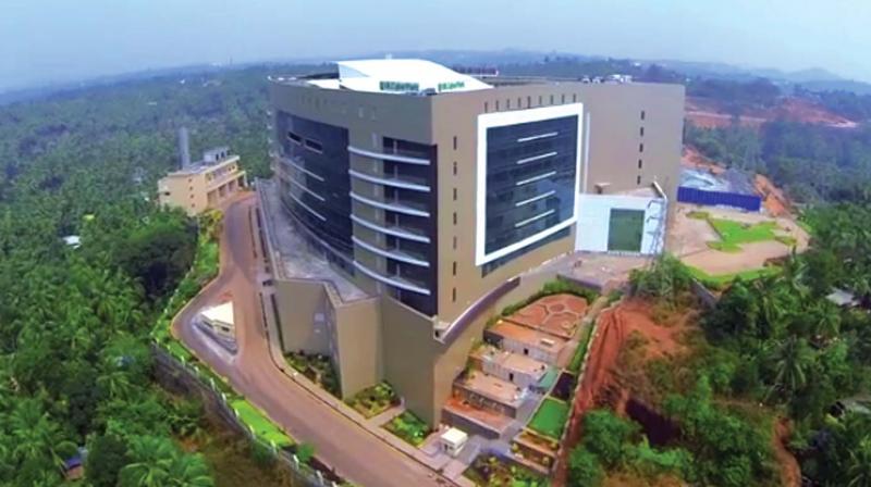 Cyber Park (file pic) Cyber Park (file pic)