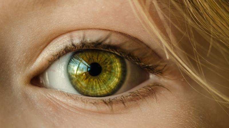 The treatment has a protein which is an essential constituent of the visual cycle that converts light to electrical signals to the brain. (Photo: Pixabay) The treatment has a protein which is an essential constituent of the visual cycle that converts light to electrical signals to the brain. (Photo: Pixabay)