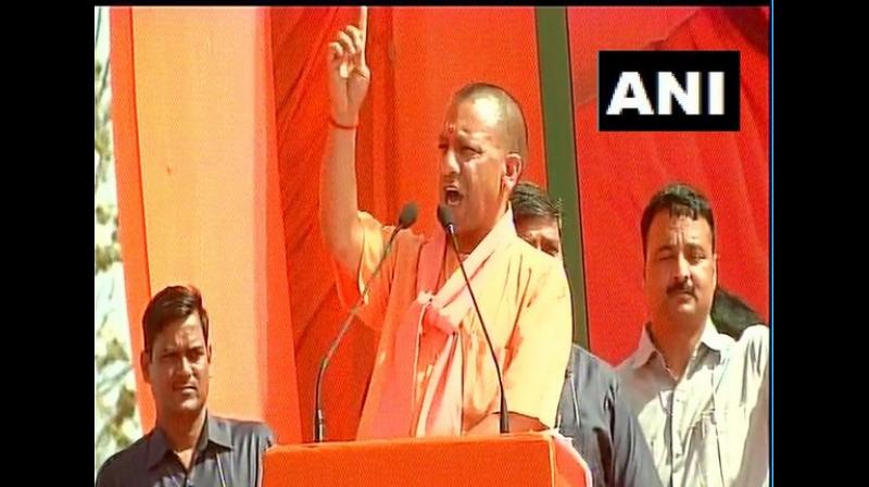 Congress president Rahul Gandhi thinks that potatoes grow on trees as mango does and there are sugar trees, said Uttar Pradesh Chief Minister Yogi Adityanath here on Sunday. (Photo: ANI) Congress president Rahul Gandhi thinks that potatoes grow on trees as mango does and there are sugar trees, said Uttar Pradesh Chief Minister Yogi Adityanath here on Sunday. (Photo: ANI)