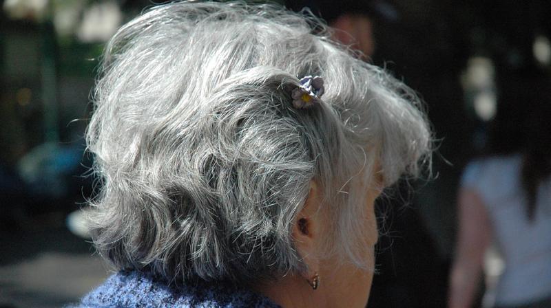 Scientists say the search for a better Alzheimer's treatment presents several problems. (Photo: Pixabay) Scientists say the search for a better Alzheimer's treatment presents several problems. (Photo: Pixabay)