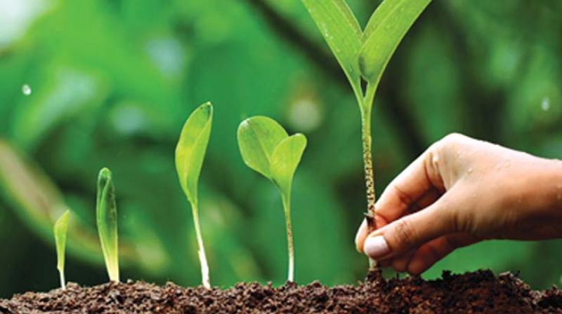 kerala budget 2017 govt not serious on green plans