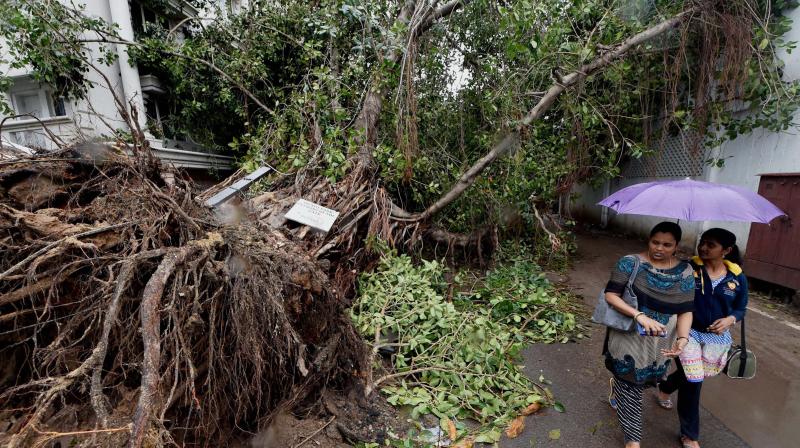 Girls walk past an uprooted tree a day after cyclone Vardah, in Chennai. (Photo: PTI/File) Girls walk past an uprooted tree a day after cyclone Vardah, in Chennai. (Photo: PTI/File)