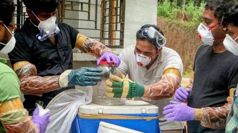 The first death in the outbreak in Kerala took place on Friday, the state's health minister, KK Shailaja, said. (Photo: PTI) The first death in the outbreak in Kerala took place on Friday, the state's health minister, KK Shailaja, said. (Photo: PTI)