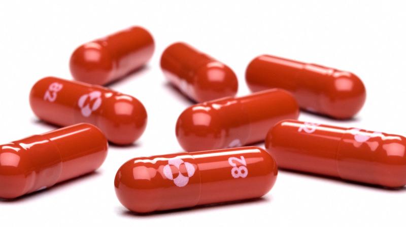 This October 18, 2021 handout photo courtesy of Merck & Co,Inc. shows capsules of the antiviral pill Molnupiravir. (AFP) This October 18, 2021 handout photo courtesy of Merck & Co,Inc. shows capsules of the antiviral pill Molnupiravir. (AFP)