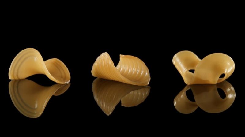 These pasta shapes were caused by immersing a 2-D flat film into water. Image: Michael Indresano Production These pasta shapes were caused by immersing a 2-D flat film into water. Image: Michael Indresano Production