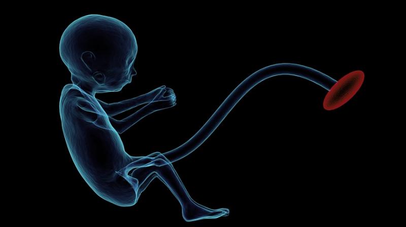 New MRI can detect abnormalities in foetuses in second trimester. (Photo: Pixabay) New MRI can detect abnormalities in foetuses in second trimester. (Photo: Pixabay)