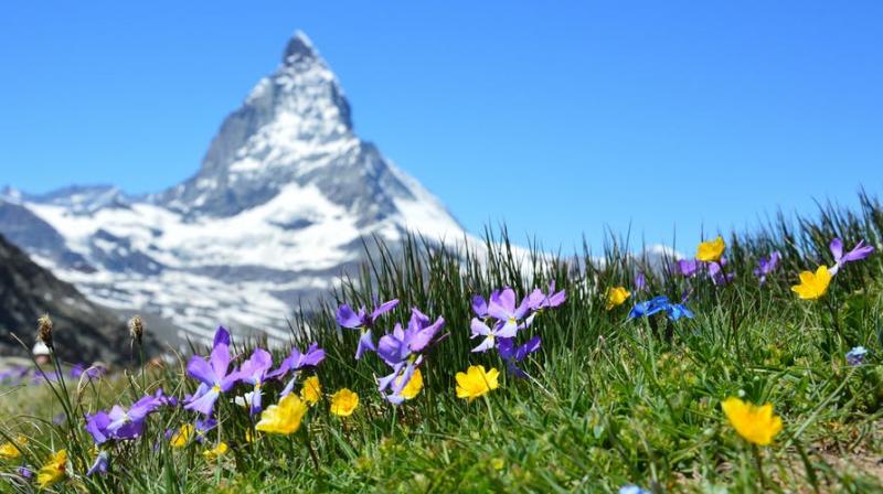Romantic locations in Switzerland. (Photo: Pexels) Romantic locations in Switzerland. (Photo: Pexels)