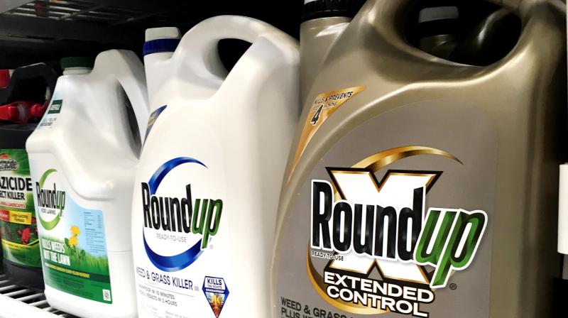 Containers of the alleged carcinogenic weed and grass killer by Monsanto, Roundup, on displayed on a store shelf in San Francisco. (Photo: AP) Containers of the alleged carcinogenic weed and grass killer by Monsanto, Roundup, on displayed on a store shelf in San Francisco. (Photo: AP)