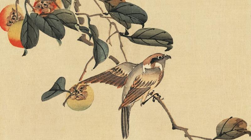 Japanese songbirds make unique calls to warn of a snake, researchers have discovered. (Photo: Pixabay) Japanese songbirds make unique calls to warn of a snake, researchers have discovered. (Photo: Pixabay)