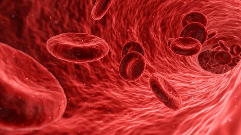 New approach could effectively become a better cancer treatment option than chemotherapy down the road. (Photo: Representational/Pixabay) New approach could effectively become a better cancer treatment option than chemotherapy down the road. (Photo: Representational/Pixabay)