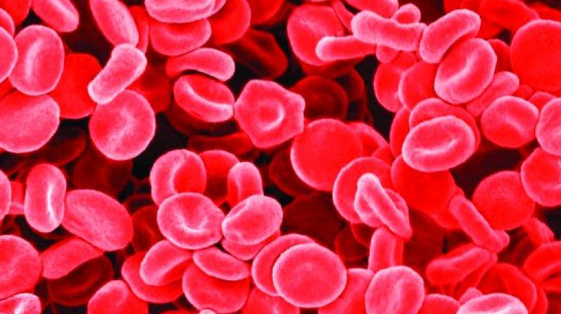 Our compounds provide mitochondria in cells with an alternative fuel to help them function properly. (Photo: Pixabay) Our compounds provide mitochondria in cells with an alternative fuel to help them function properly. (Photo: Pixabay)