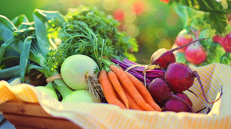 Growing food in cities reduces the distance that the food has to travel, as the demand for food is more in urban areas as compared to rural areas. (Photo: Representational/Pexels) Growing food in cities reduces the distance that the food has to travel, as the demand for food is more in urban areas as compared to rural areas. (Photo: Representational/Pexels)