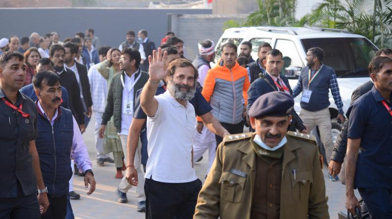 Congress party leader Rahul Gandhi takes part in the Bharat Jodo Yatra march in New Delhi (AFP)