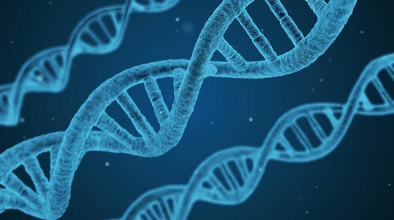 Binge and heavy drinking may trigger a long-lasting genetic change in adults. (Photo: Representational/Pixabay) Binge and heavy drinking may trigger a long-lasting genetic change in adults. (Photo: Representational/Pixabay)