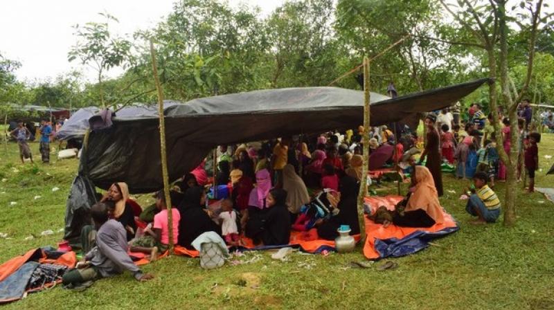 Nearly 700,000 Rohingya Muslims have fled to Bangladesh since August 2017 to escape a military crackdown in neighbouring Myanmar. Most now live in flimsy, bamboo-and-plastic structures perched on what were once forested hills. (Representational Image) Nearly 700,000 Rohingya Muslims have fled to Bangladesh since August 2017 to escape a military crackdown in neighbouring Myanmar. Most now live in flimsy, bamboo-and-plastic structures perched on what were once forested hills. (Representational Image)