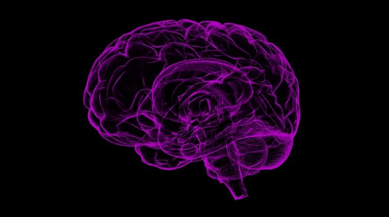 In India, reports indicate that over 2,500 children every year suffer from brain tumour. (Photo: Pixabay) In India, reports indicate that over 2,500 children every year suffer from brain tumour. (Photo: Pixabay)