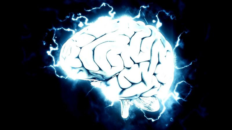 According to the new research, the cells may die because of naturally occurring gene variation in brain cells that were, until recently, assumed to be genetically identical. (Photo: Representational/Pixabay) According to the new research, the cells may die because of naturally occurring gene variation in brain cells that were, until recently, assumed to be genetically identical. (Photo: Representational/Pixabay)