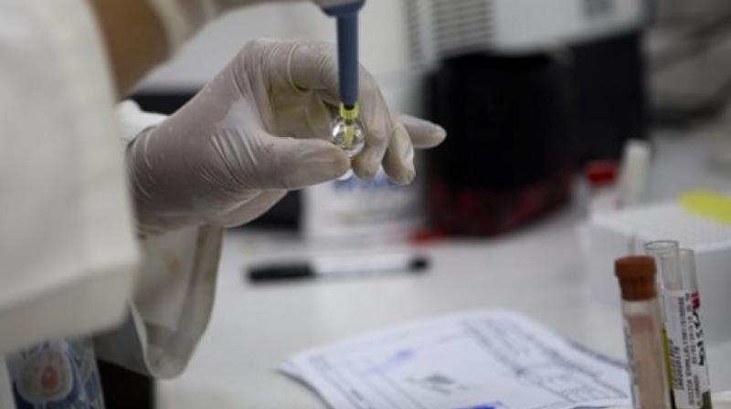 Study claims prior exposure to dengue may not make Zika worse (Photo:AP) Study claims prior exposure to dengue may not make Zika worse (Photo:AP)