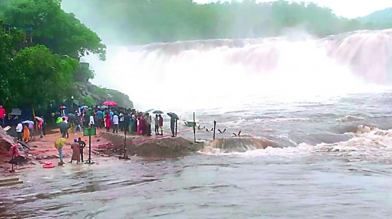 Bogatha waterfall in Mulugu district in its full flow after two days of heavy rains. Bogatha waterfall in Mulugu district in its full flow after two days of heavy rains.