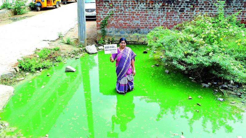 An activist standing in a pool of dirty water asking municipal chairperson to do their duty. An activist standing in a pool of dirty water asking municipal chairperson to do their duty.