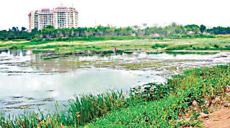 A view of the Bellandur Lake on the outskirts of Bengaluru A view of the Bellandur Lake on the outskirts of Bengaluru