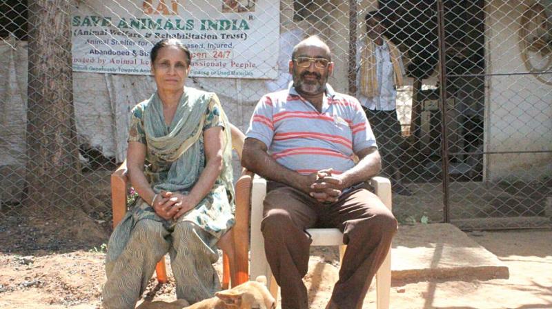 Surya Singh and his wife Anju, who have set up Save Animals India shelter at Yelahanka. (Photo: DC) Surya Singh and his wife Anju, who have set up Save Animals India shelter at Yelahanka. (Photo: DC)
