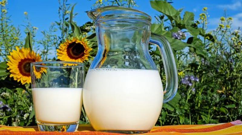 Milk adulterated with oxytocin should be avoided by pregnant women as it may lead to abortion and babies may be born with deformities. (Photo: Pixabay) Milk adulterated with oxytocin should be avoided by pregnant women as it may lead to abortion and babies may be born with deformities. (Photo: Pixabay)