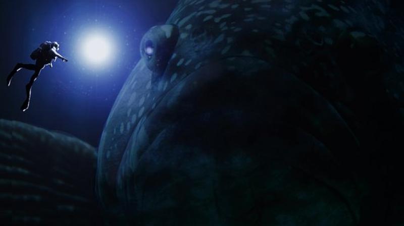 The Guinness World Records lists the world's heaviest bony fish as Mola mola. (Photo: Pixabay) The Guinness World Records lists the world's heaviest bony fish as Mola mola. (Photo: Pixabay)