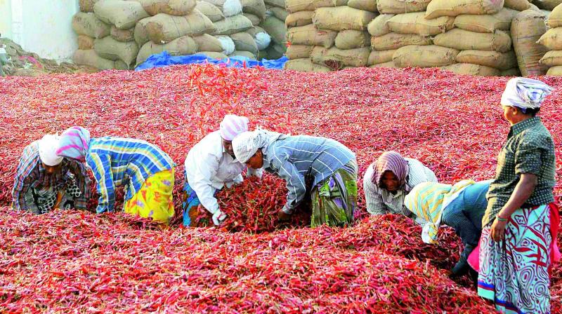 (Representational image) (Representational image)