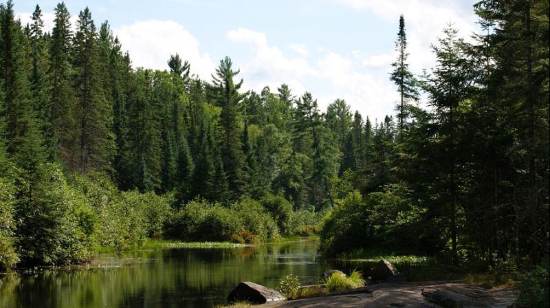 Algonqui Provincial Park in Ontario. (Photo: Pixabay) Algonqui Provincial Park in Ontario. (Photo: Pixabay)