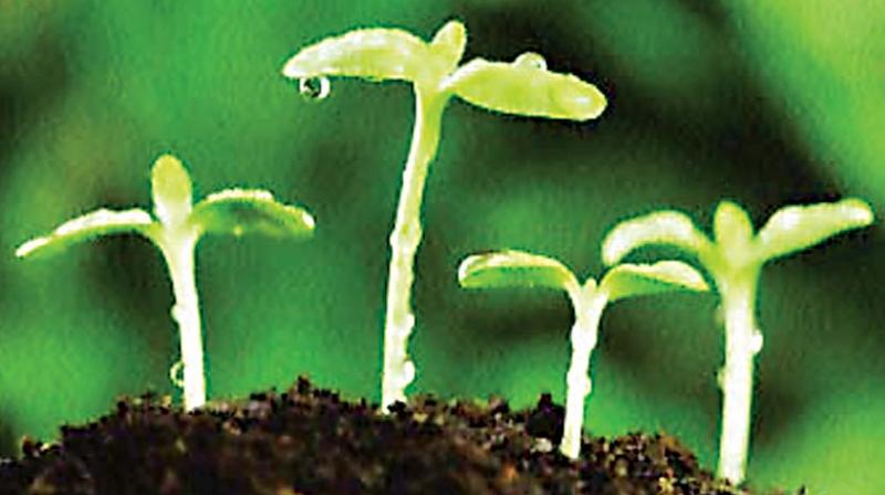 Though there are well-meaning green crusaders trying to incite change within our communities through various projects and activities, a large number of us are still unaware of what the future of our environment is. Though there are well-meaning green crusaders trying to incite change within our communities through various projects and activities, a large number of us are still unaware of what the future of our environment is.
