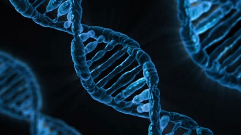 The differences in the job-related exhaustion reported by employees were contrasted with genetic differences in their entire genome. (Photo: Pixabay) The differences in the job-related exhaustion reported by employees were contrasted with genetic differences in their entire genome. (Photo: Pixabay)