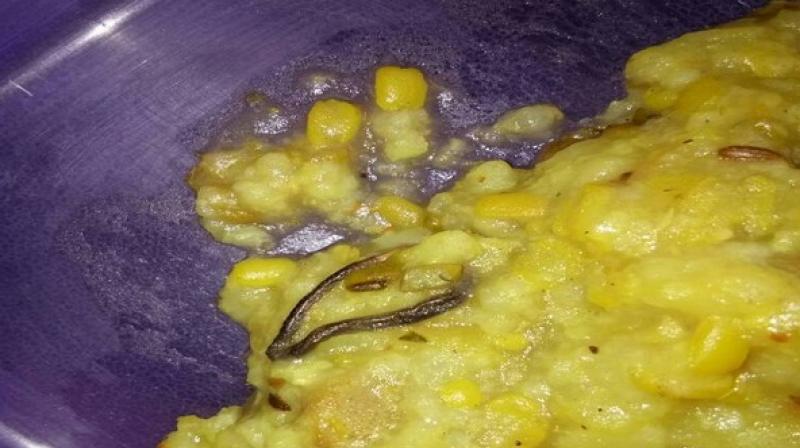 The other schools, where the same food was supplied, were also apprised about the same. (Photo: ANI) The other schools, where the same food was supplied, were also apprised about the same. (Photo: ANI)
