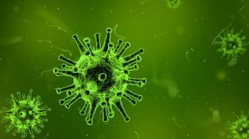 Childhood diarrhea due to this infection leads to a lot of fluid loss in the body and the virus takes five to seven days to come under control. (Photo: Pixabay) Childhood diarrhea due to this infection leads to a lot of fluid loss in the body and the virus takes five to seven days to come under control. (Photo: Pixabay)