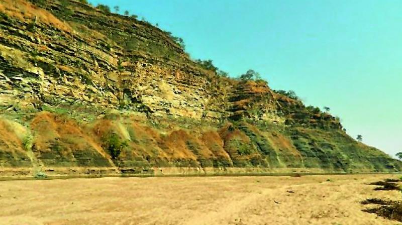 The Bejjur Cliff, a vulture nesting area, has been declared as a conservation reserve in Adilabad The Bejjur Cliff, a vulture nesting area, has been declared as a conservation reserve in Adilabad