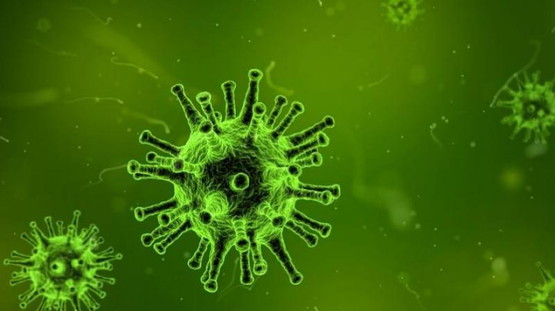 India has the highest number of TB deaths among children. (Photo: Pexels) India has the highest number of TB deaths among children. (Photo: Pexels)