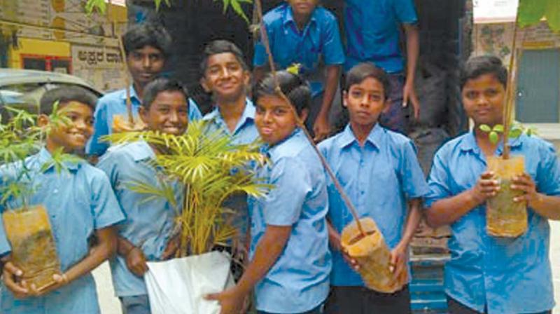 Green Earth Life (GEL) and students plant saplings to improve the environment. Green Earth Life (GEL) and students plant saplings to improve the environment.