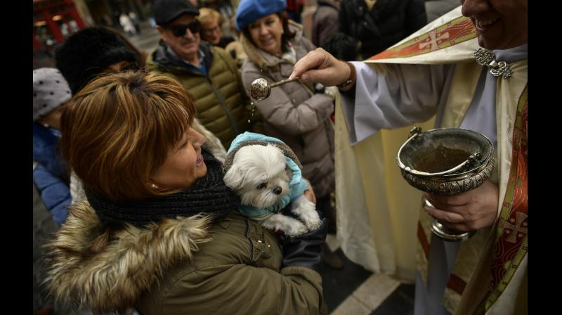 On the day of St. Anthony, owners enthusiastically bring their pets to the church from all over the country to receive blessings. (Photo: AP) On the day of St. Anthony, owners enthusiastically bring their pets to the church from all over the country to receive blessings. (Photo: AP)