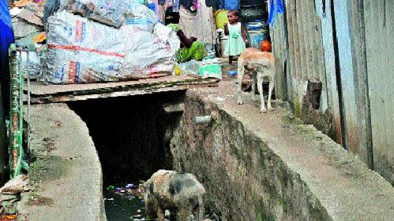 Hidden behind shanties and huts at Mud Fort Sikh Village in Secunderabad, is stagnant water, heaps of uncleared garbage that attracts animals, and ab overflowing sewage that helps mosquitoes breed. (Photo: DC) Hidden behind shanties and huts at Mud Fort Sikh Village in Secunderabad, is stagnant water, heaps of uncleared garbage that attracts animals, and ab overflowing sewage that helps mosquitoes breed. (Photo: DC)