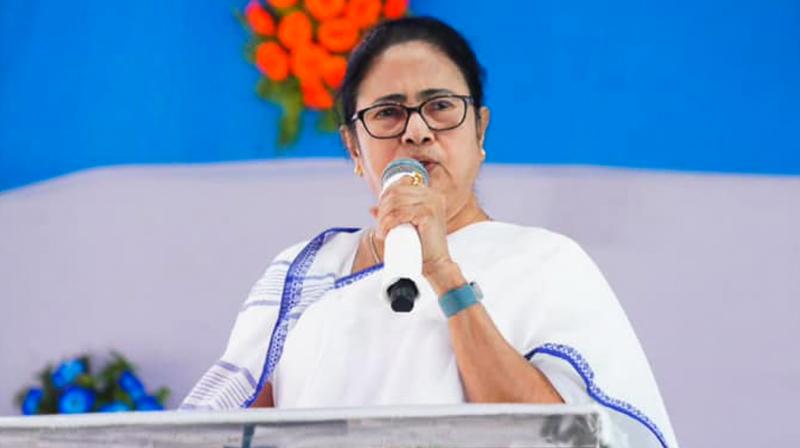 West Bengal Chief Minister Mamata Banerjee adressing a party rally at Samserganj, in Murshidabad district, on Friday. (Photo: PTI)