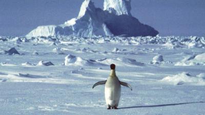 The first three people on the Sergeant Aldea vessel tested positive last week and all 208 crewmembers are being quarantined aboard that ship. (AP)